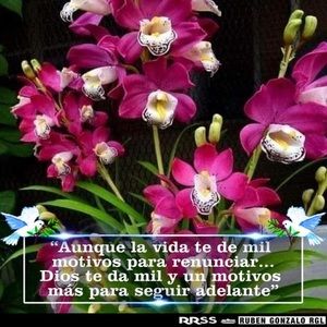 Meet your Posher, Alejandra